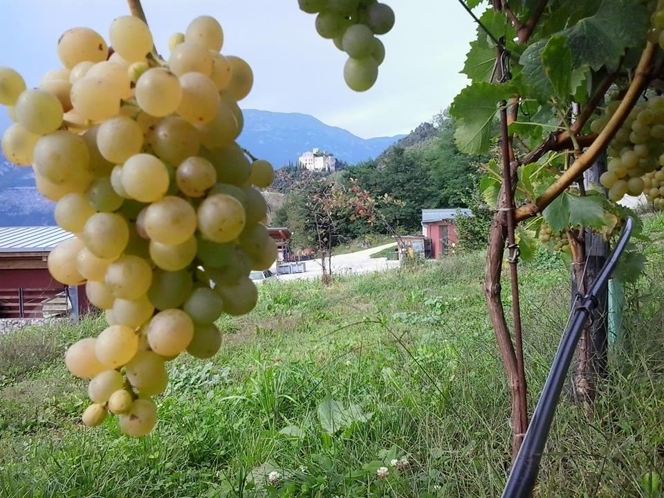 Appartamento Masi Lasino Exterior foto
